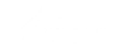 Avcı Grup